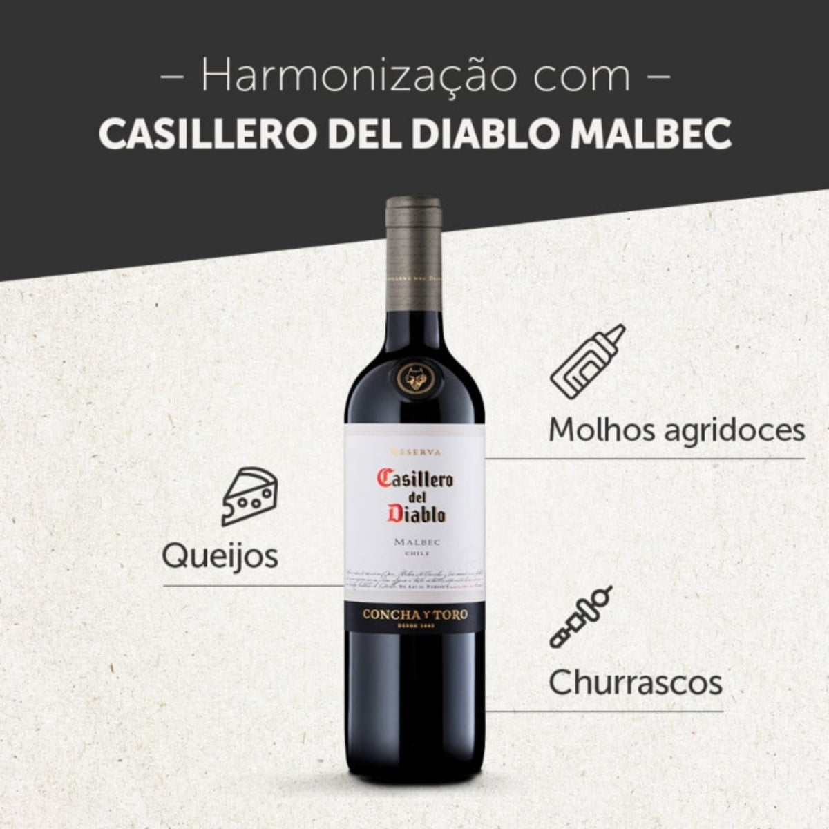 Vinho Casillero Del Diablo Concha Y Toro Malbec Chileno 750