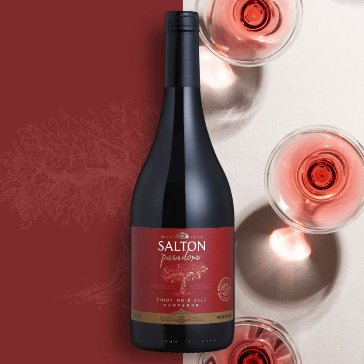 Vinho Fino Tinto Salton Paradoxo Pinot Noir Garrafa 750ml
