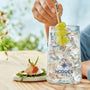 Gin Espanhol Nordés 700ml