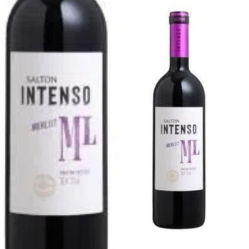 Vinho Tinto Merlot Intenso Salton 750 Ml