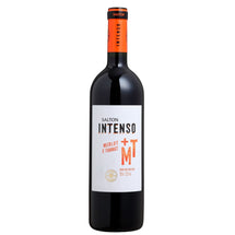 Vinho Salton Intenso Merlot / Tannat 750ml