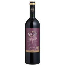 Vinho Tinto Cabernet Sauvignon Paradoxo Red Salton 750ml