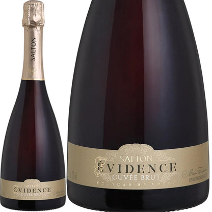 Espumante Fino Salton Evidence 750 Ml
