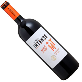 Vinho Salton Intenso Merlot / Tannat 750ml