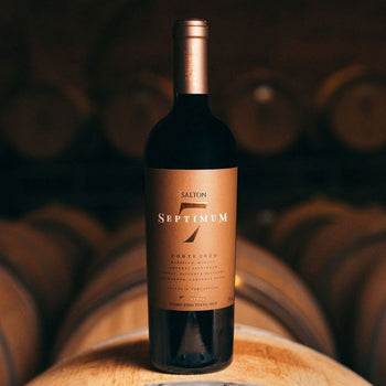 Vinho Fino Salton Septimum 2018 750ml