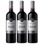 Vinho Tarapaca Chile Leon Syrah 750ml
