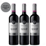 Vinho Tarapaca Chile Leon Syrah 750ml