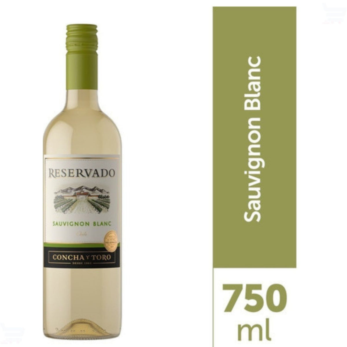 Vinho Branco Sauvignon Blanc Reservado Concha Y Toro 750ml