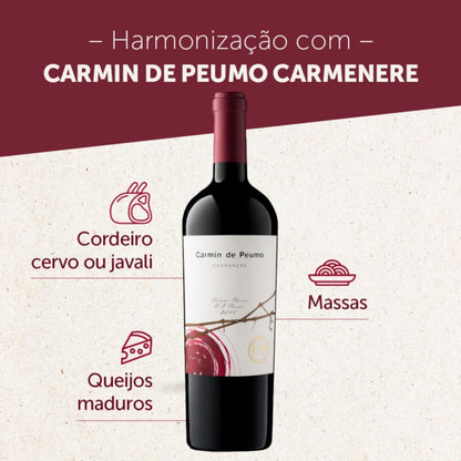 Vinho Concha y Toro Carmin de Peumo Carmenere 750ml 2017