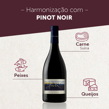 Vinho Chileno Concha Y Toro Amelia Pinot Noir 750ml 2017