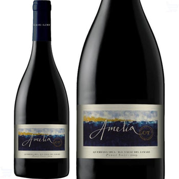 Vinho Chileno Concha Y Toro Amelia Pinot Noir 750ml 2017