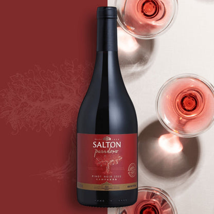 Vinho Fino Tinto Salton Paradoxo Pinot Noir Garrafa 750ml