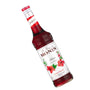 Xarope Frances Monin Hibisco Garrafa 700ml
