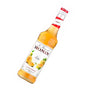 Xarope Frances Monin Melão Garrafa De 700ml