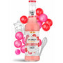 Xarope Frances Monin Chiclete 330ML