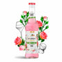Xarope Frances Monin Rosa 330ML