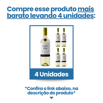 Casillero del Diablo Blanc Sauvignon Vinho Chileno 750ml
