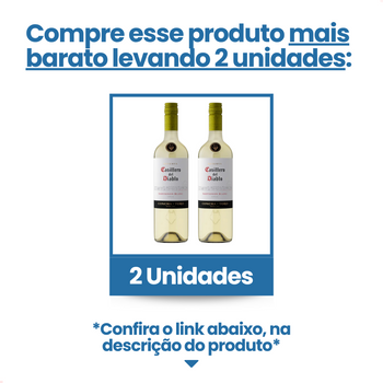 Casillero del Diablo Blanc Sauvignon Vinho Chileno 750ml