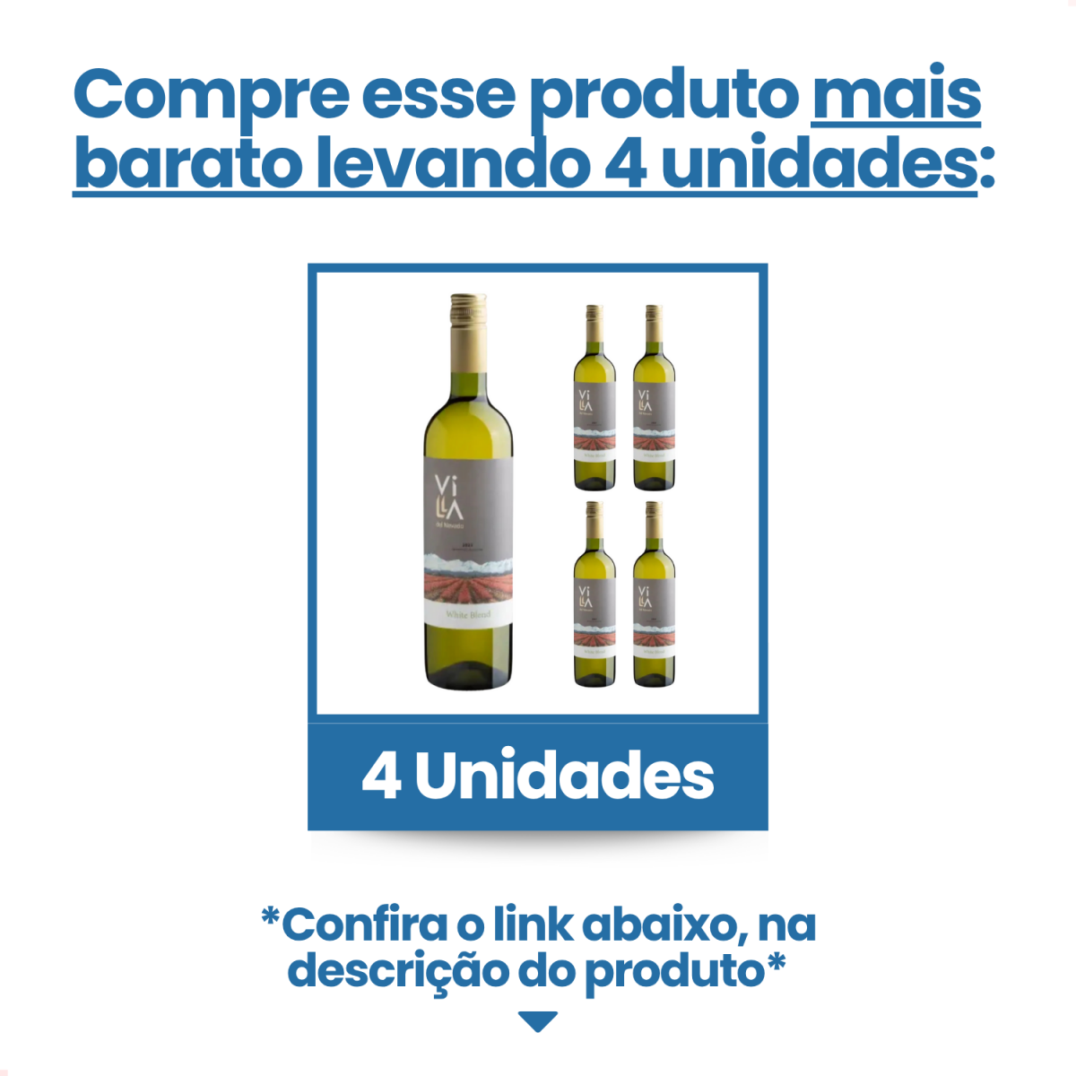 Vinho Branco Argentino Villa del Nevado White Blend 750ml