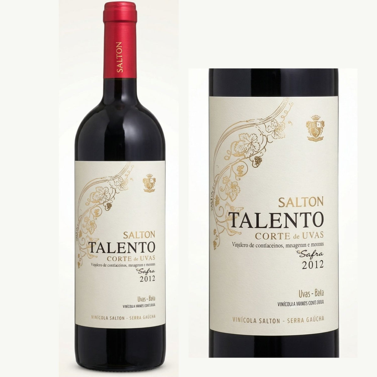 Vinho Fino Salton Talento 750 ML