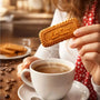 Biscoito Bolacha Caramelizado Lotus Biscoff Pacote 250G