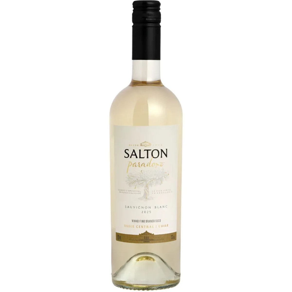 Vinho Fino Branco Seco Salton Paradoxo Sauvignon Blanc 750ml