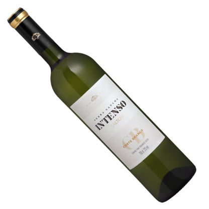 Vinho Fino Seco Salton Intenso Corte Branco 750ML
