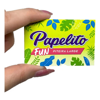 Display 24 Livretos Piteira Papelito Fun Large