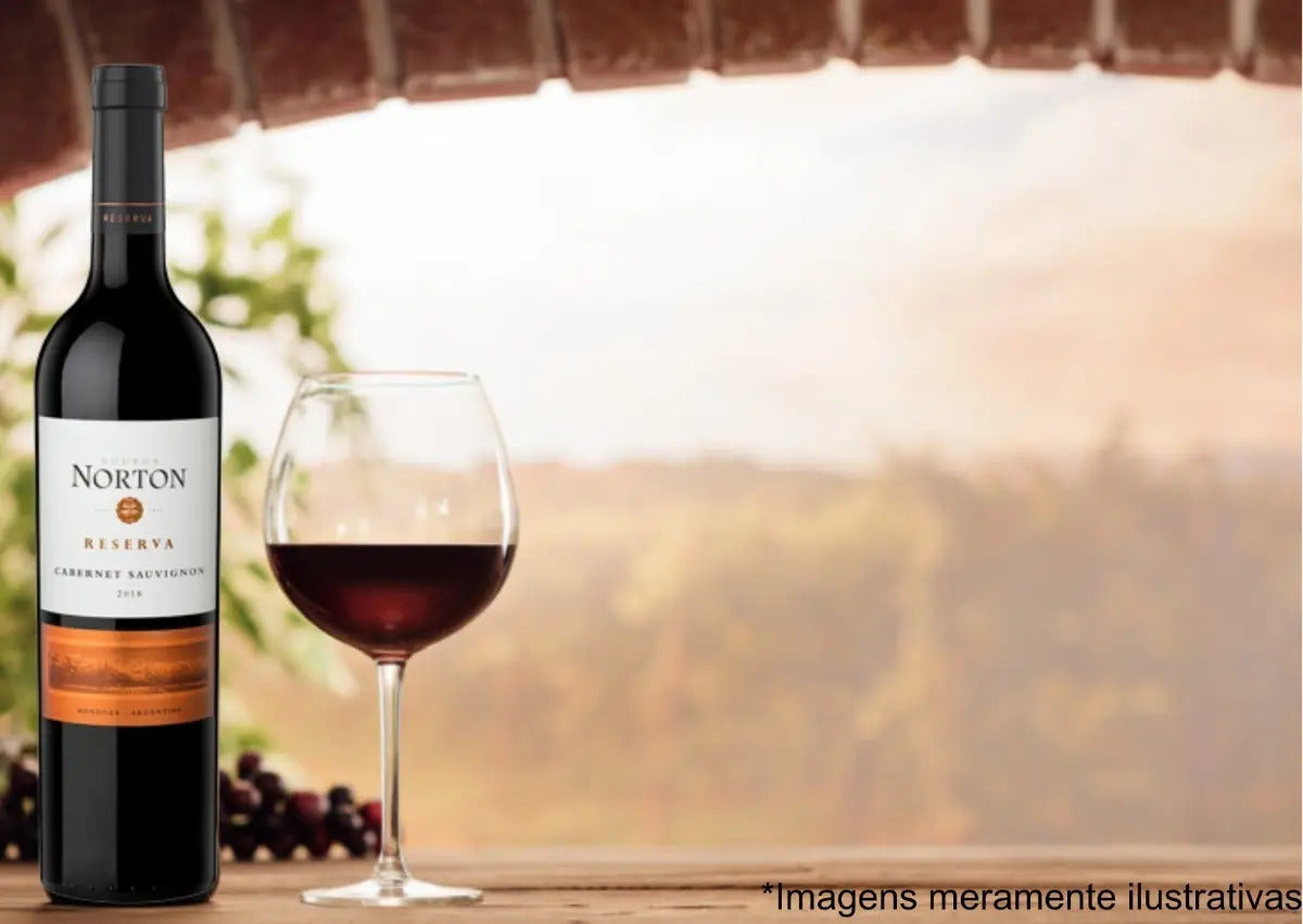 Vinho Tinto Norton Reserva Cabernet Sauvignon 750ml