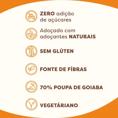 Goiabada Zero Acucar Flormel Display 24x20g