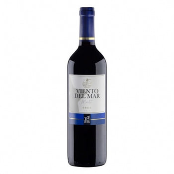 Vinho Tinto Seco Merlot Viento Del Mar 2019 750 Ml