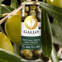 Azeitona Gallo Verde com Caroço 200g Alto Mercado