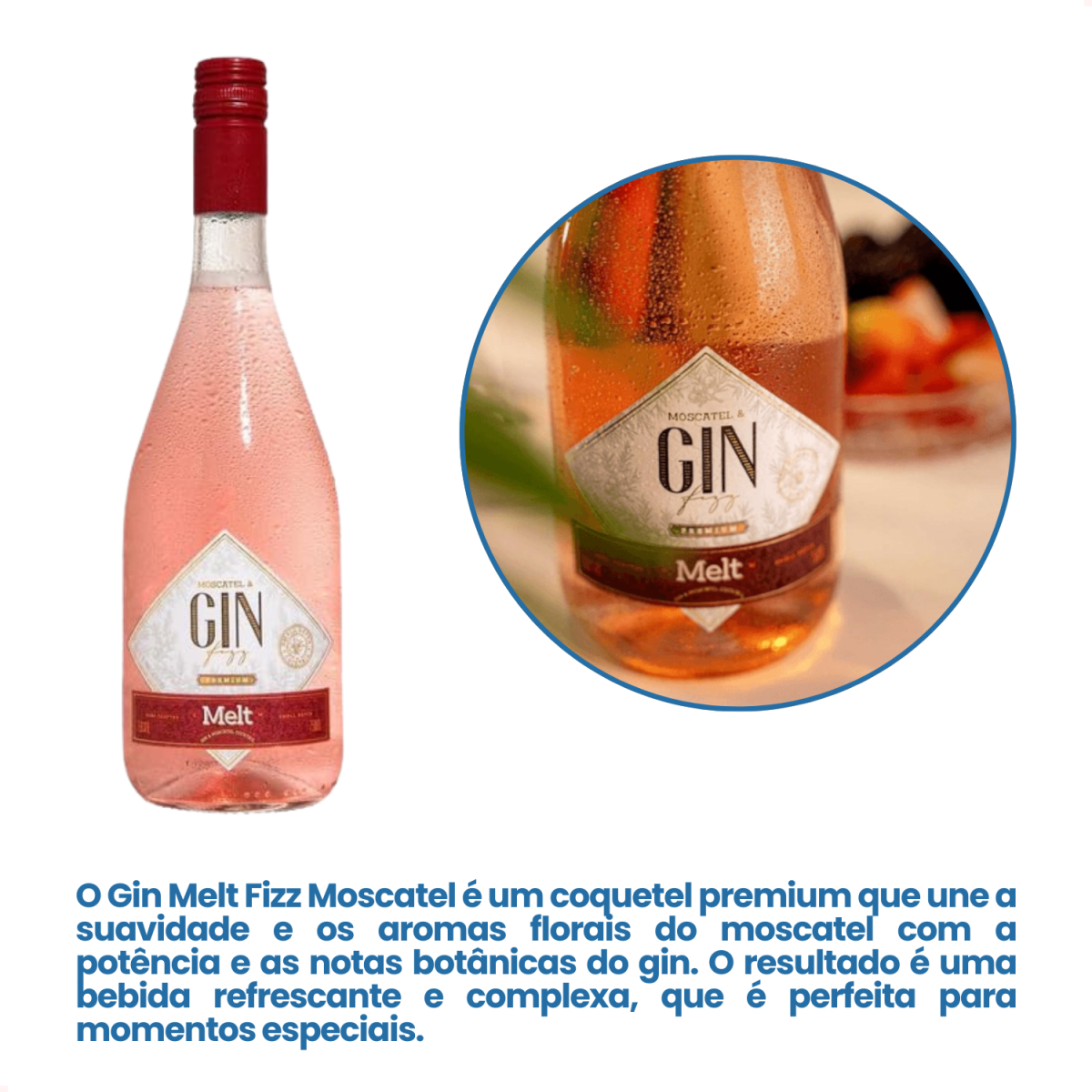 Gin Melt Fizz Moscatel Premium 750ml Envio Imediato — imagem 3