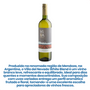 Vinho Branco Argentino Villa del Nevado White Blend 750ml — imagem 3