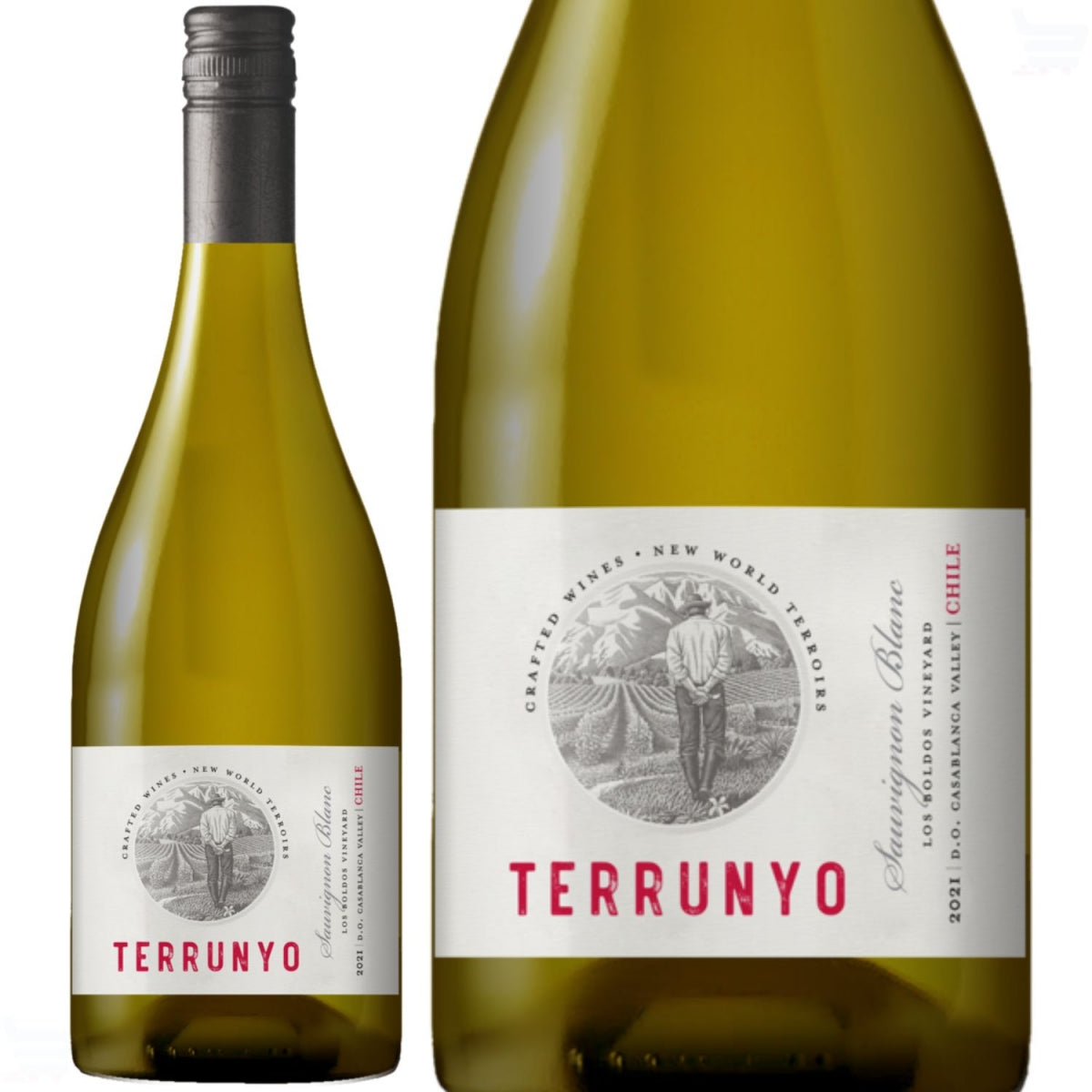 Vinho Chileno Branco Terrunyo Sauvignon Blanc  750ML 2019 — imagem 2