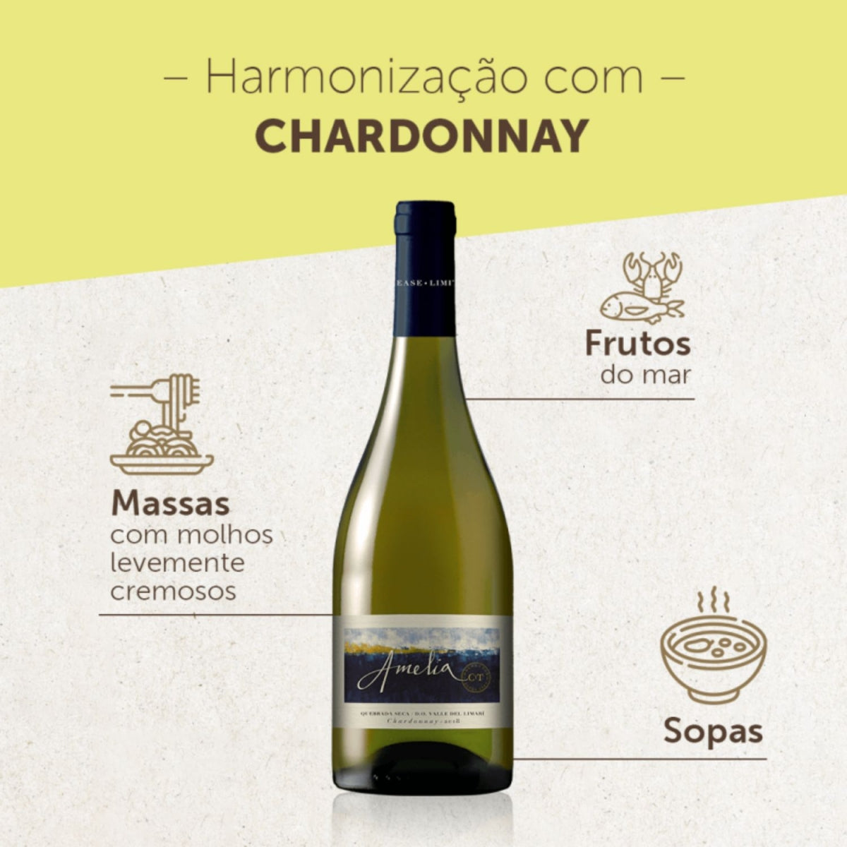 Vinho Chileno Concha Y Toro Amelia Chardonnay 750ml 2018 — imagem 2