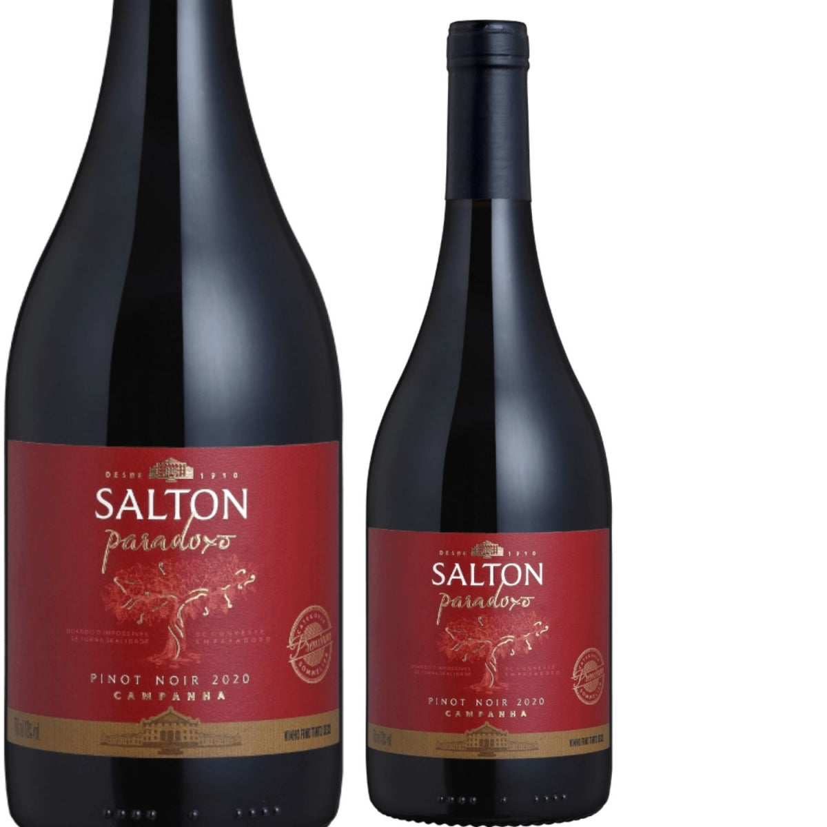Vinho Fino Tinto Salton Paradoxo Pinot Noir Garrafa 750ml