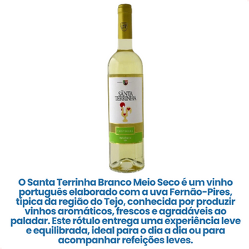 Vinho Português Branco Meio Seco Santa Terrinha 750ml — imagem 3