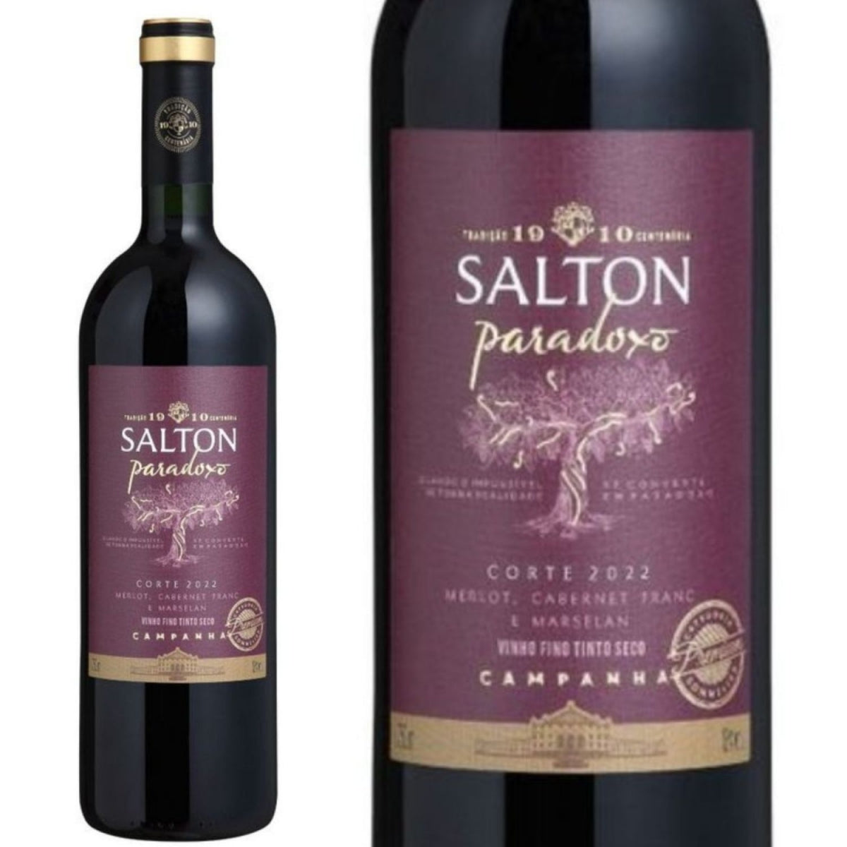 Vinho Tinto Cabernet Sauvignon Paradoxo Red Salton 750ml