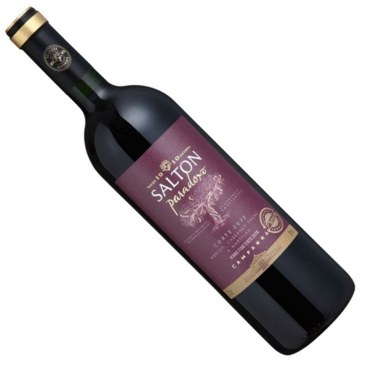 Vinho Tinto Cabernet Sauvignon Paradoxo Red Salton 750ml