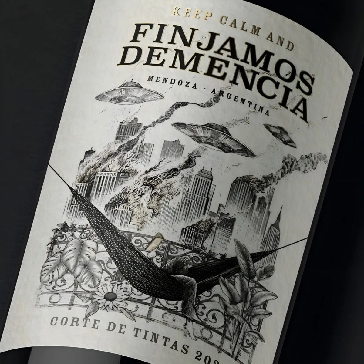Vinho Tinto Finjamos Demencia Corte De Tintas 750ml — imagem 3