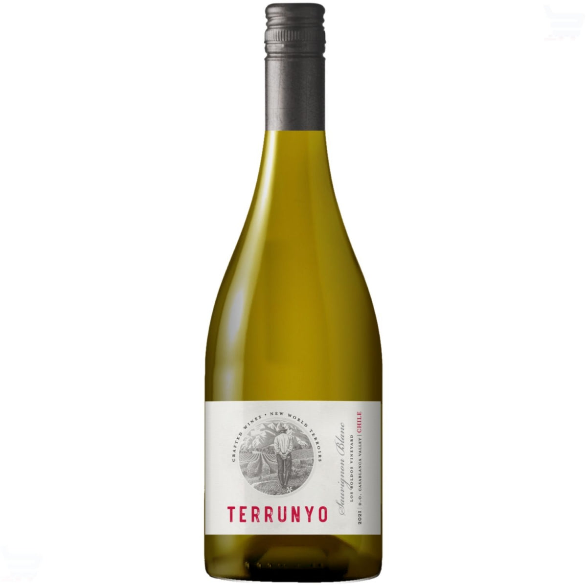 Garrafa de vinho branco Terrunyo Sauvignon Blanc com rótulo branco e tampa escura.