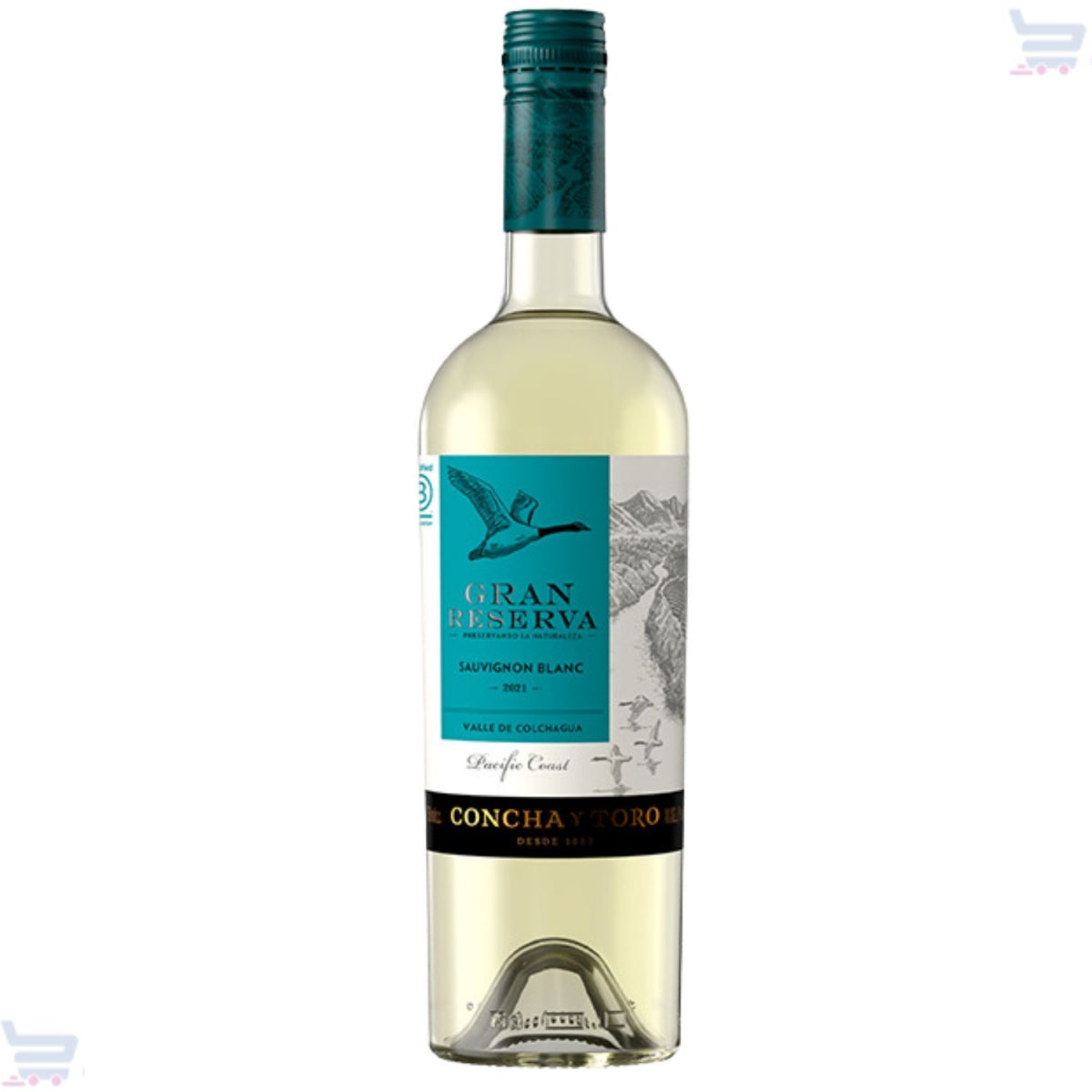 Garrafa de vinho Gran Reserva Sauvignon Blanc Concha y Toro com rótulo turquesa.
