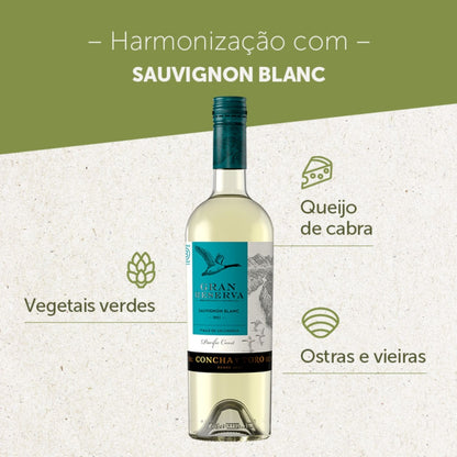 Imagem sugere harmonização do Sauvignon Blanc com vegetais verdes, queijo de cabra, ostras e vieiras.