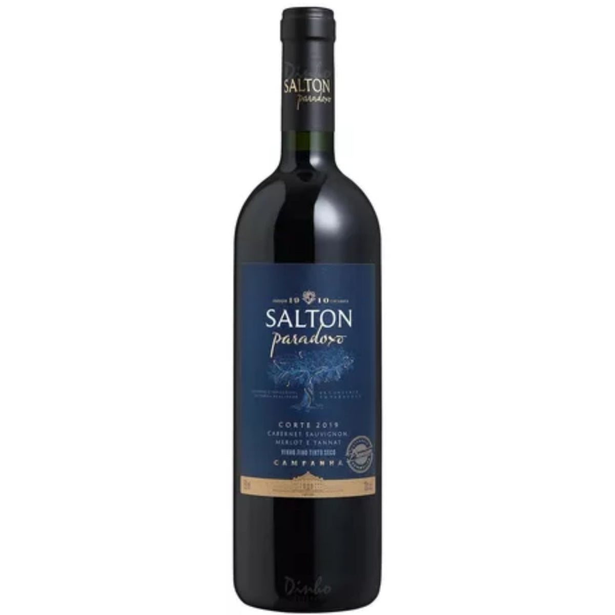 Garrafa de vinho tinto Salton Paradoxo com rótulo azul e detalhes dourados.